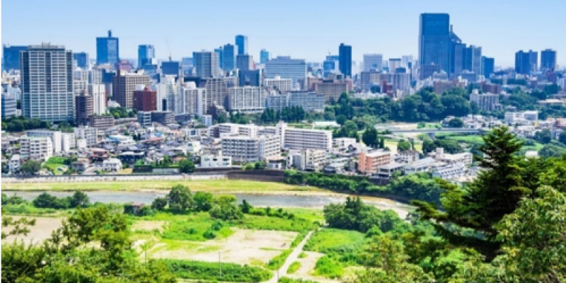 東北仙台豪華5日