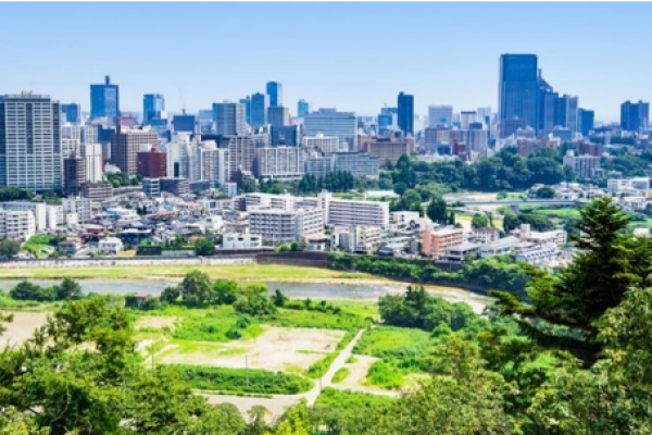 東北仙台豪華5日